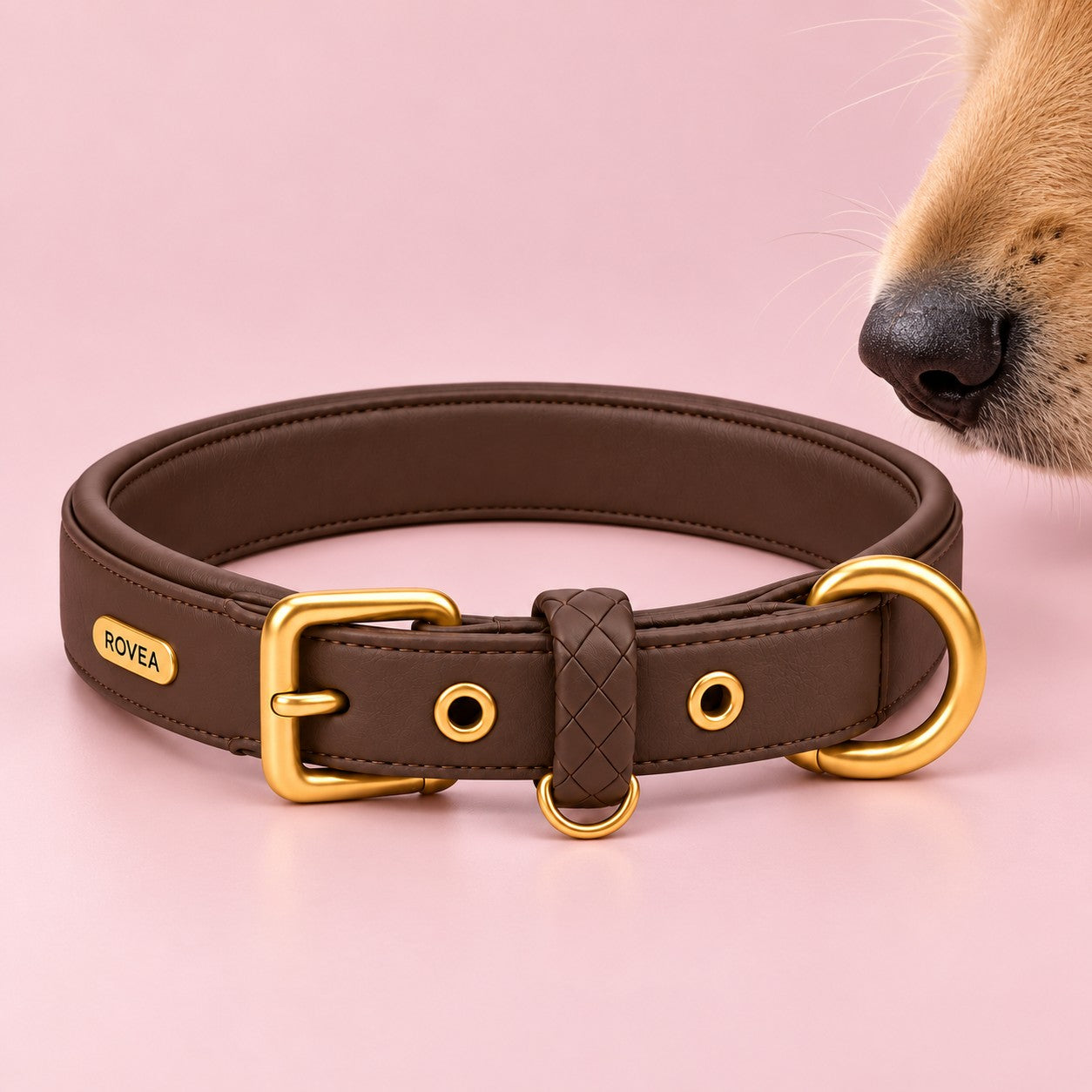 Espresso collar design preview on Petal, with Colin’s nose entering the frame